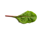 one edible chard leaf on a white background