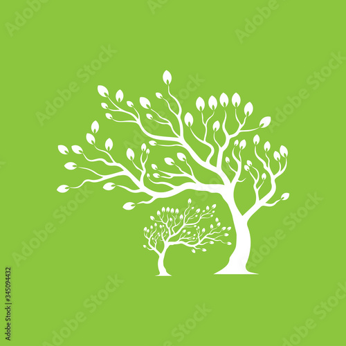 Vector branch   Hand drawn illustration of tree branch design template