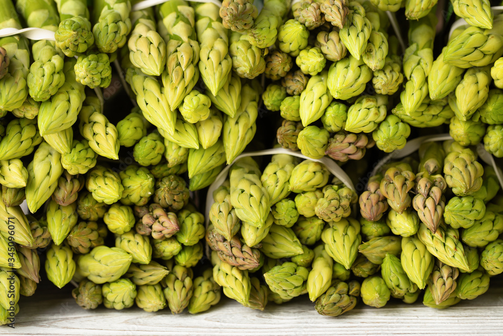 Bunches green asparagus, vegetable texture. Organic food. Bunches green asparagus, vegetable texture. Organic food.
