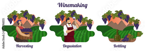 Set of isolated wine production illustrations. Stages of winemaking.