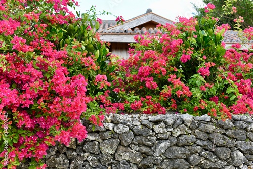 沖縄竹富町の街並み