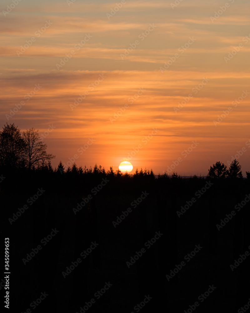 Obraz premium Sunset in the forest