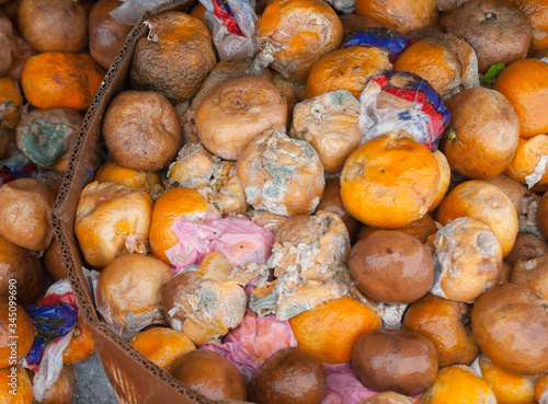 Фотография Rotten mandarin oranges on the landfill