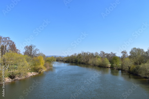 Park, Wald, Bäume, Blumen, See, Frühling