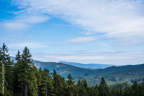view of beautiful spruce forests in the mountains , czech beskydy © Martin