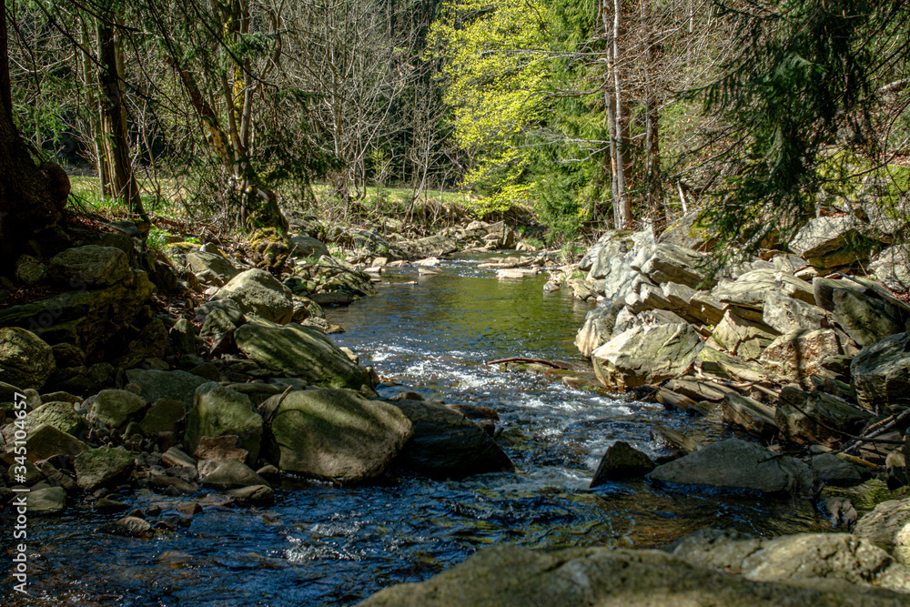 Obraz premium Schwarzwassertal Erzgebirge