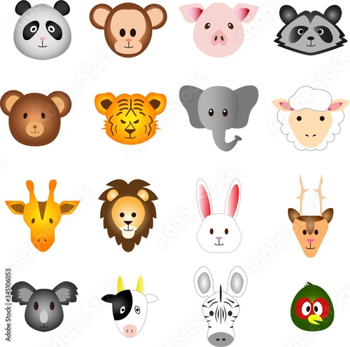 animal
