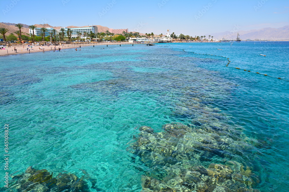 Plage Paradisiaque Mer Rouge Coraux snorkeling Eilat Israël