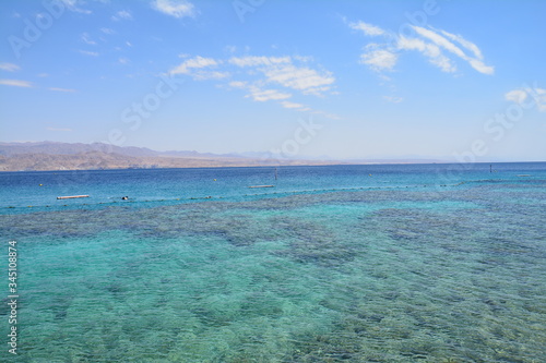 Plage Paradisiaque Mer Rouge Coraux snorkeling Eilat Israël