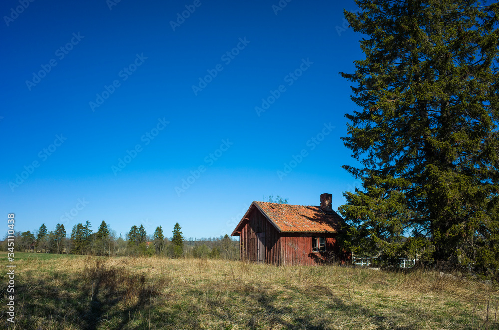 Small traditional swedish red wooden house next to spurse tree in countryside near Vasteras, Sweden Small traditional swedish red wooden house next to spurse tree in countryside near Vasteras, Sweden