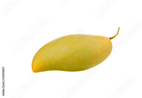 Isolated yellow mango. One whole mango fruit isolated on white background with clipping path. Delicious ripe mango on white background.