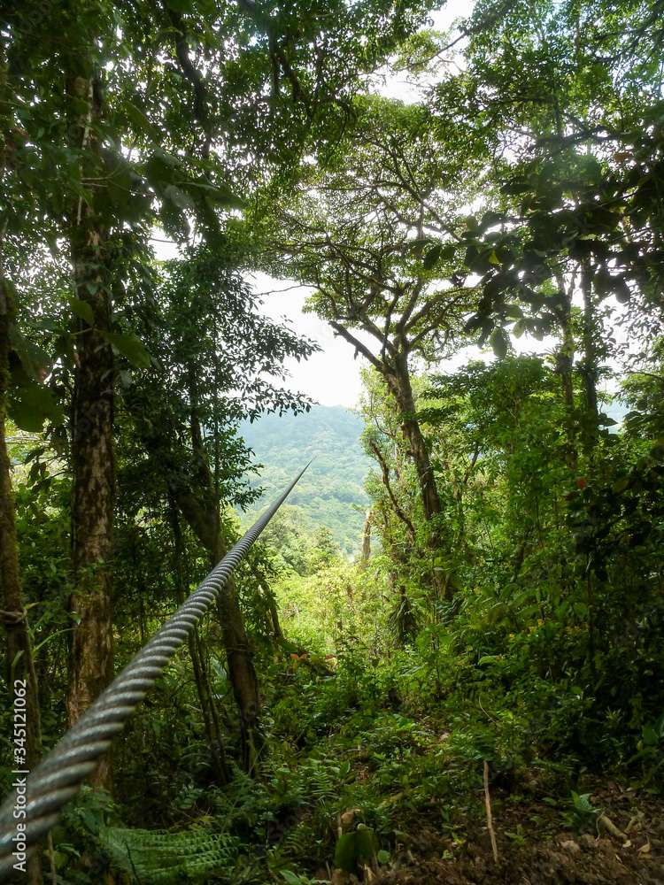 Obraz premium Zipline adventure in the jungle of Costa Rica