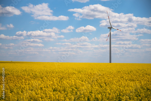 Windkraft Rapsfeld Raps Energie Frühling Feld Landschaft Frühling