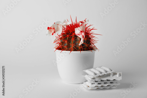 Cactus and hemorrhoidal suppositories on light background photo