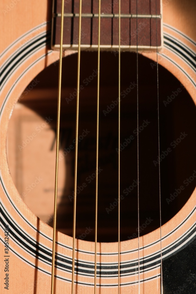 Obraz premium Guitar in the sun