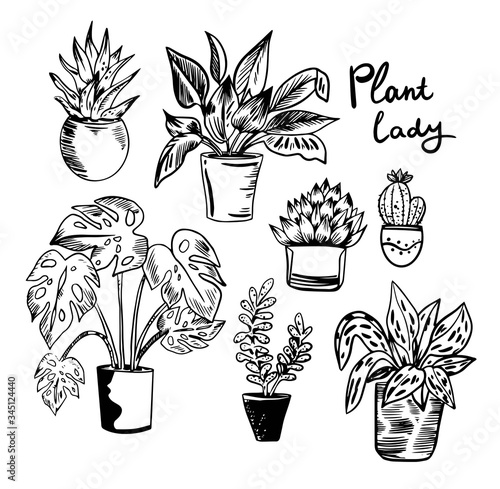 Vector illustration with house plants in pots in black and white colors.
