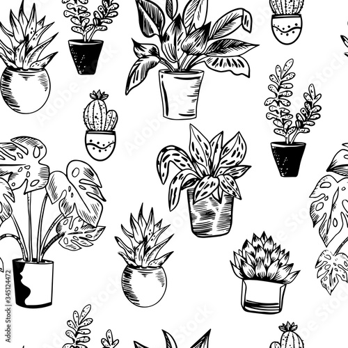Vector seamless pattern with house plants in pots in black and white colors.