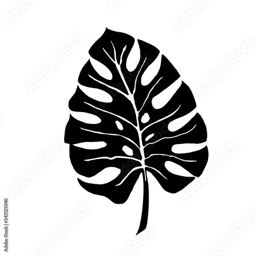 Tropical leaf silhouettes isolated on white background. Monstera. Vector illustration.