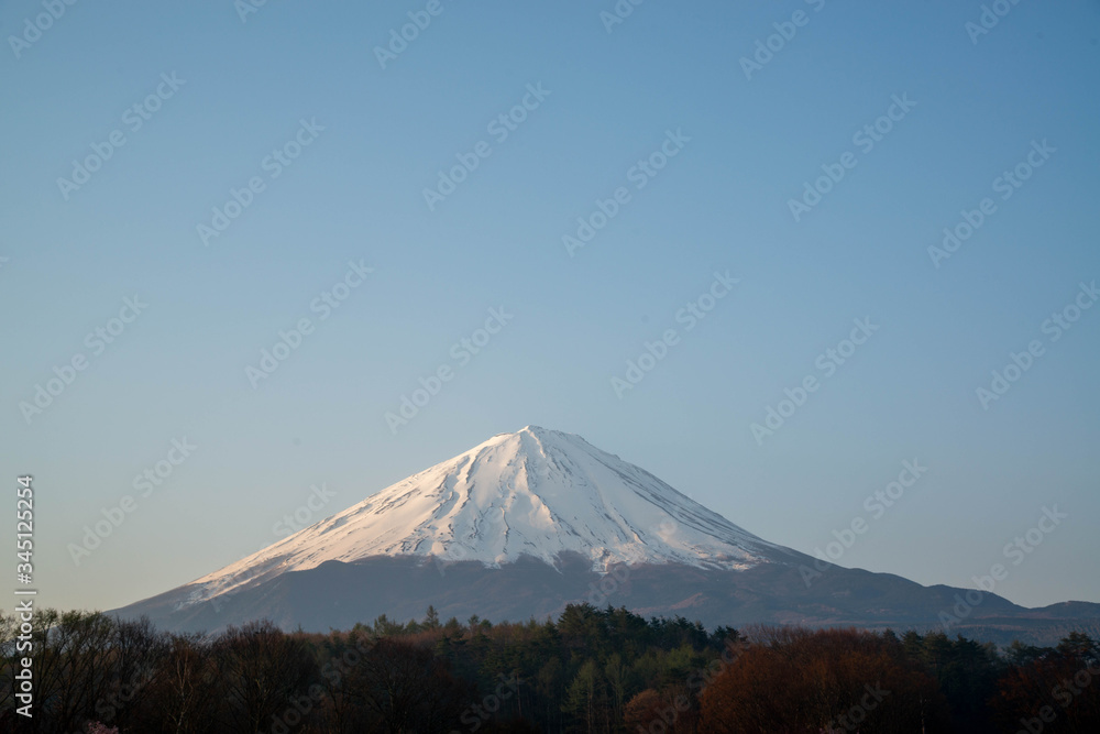 Obraz premium 冬の富士山