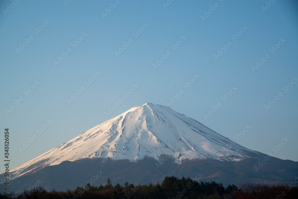 Fototapeta premium 冬の富士山