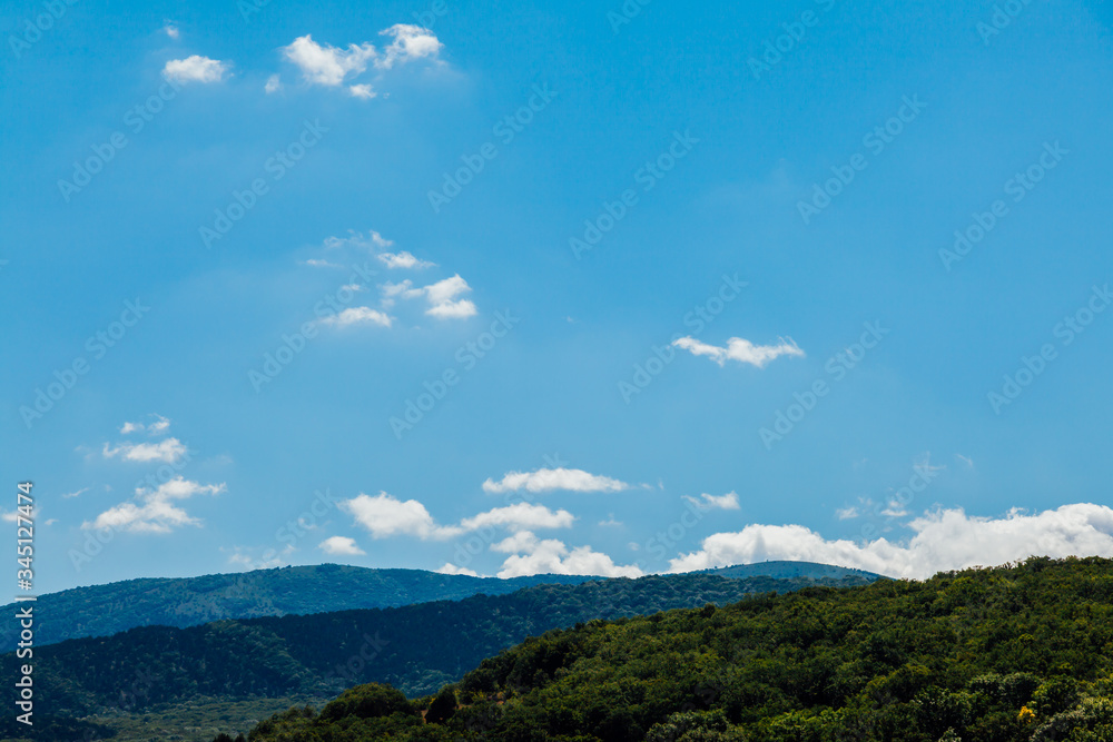 landscape of beautiful forest nature with fields and blue sky