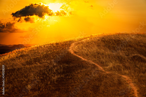 Peak of grass mountain and dirt hiking route with dramatic burning orange sky before the sunset period as background. Beautiful view of the nature photo. © Nattawit