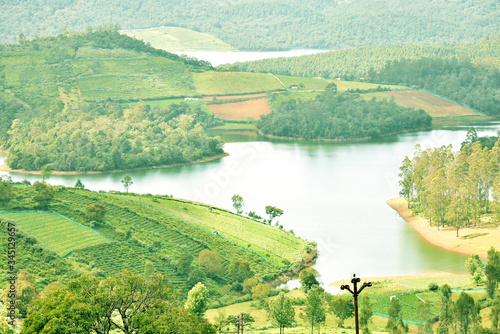 Top View of Greenish Landscape