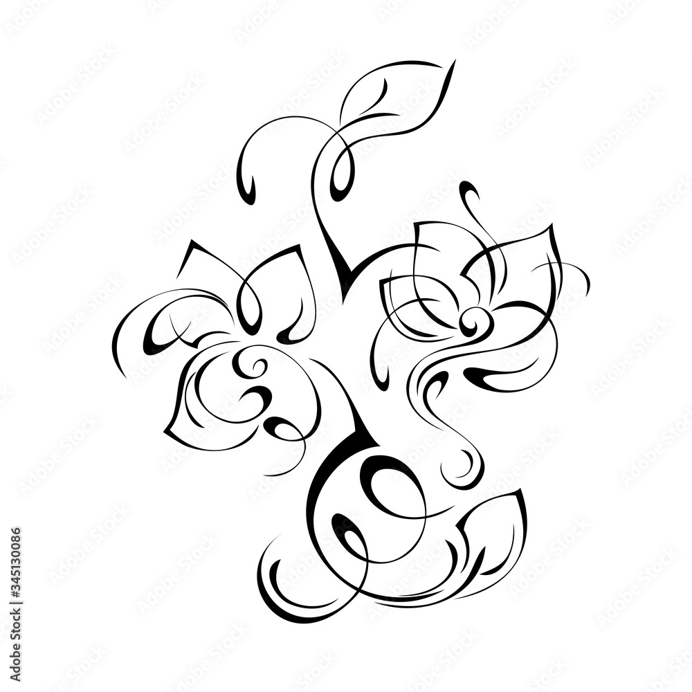 ornament 1134. decorative element with stylized flowers, leaves and swirls in black lines on a white background