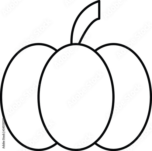 vegetable