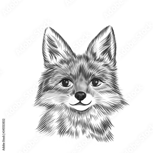 Little fox, animal black and white vector illustration. Hand drawn sketch drawing. Beast portrait, Cute fox head background.