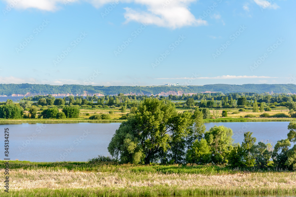 The colorful colors of nature in warm summer