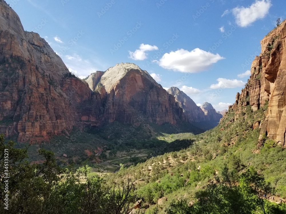 Fototapeta premium zion national park
