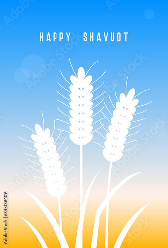 Happy Shavuot holiday design. Wheat field. Happy Shavuot! Wheat. Vector illustration. Concept of Judaic holiday Shavuot. Happy Shavuot in Jerusalem. Land of Israel wheat harvest greeting card