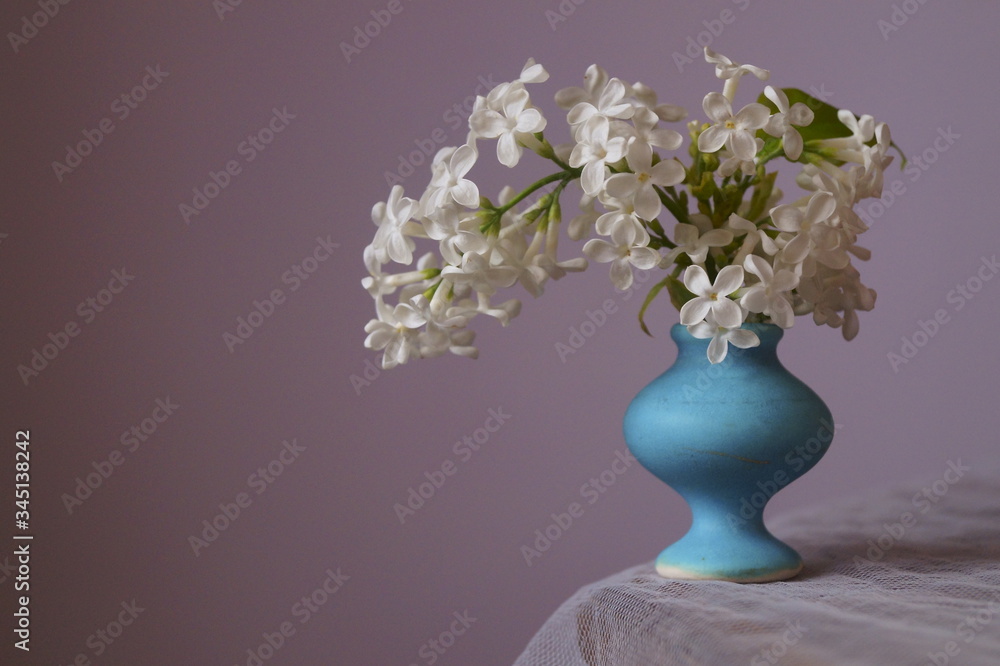 Spring flowers - white lilac (Syringa vulgaris)