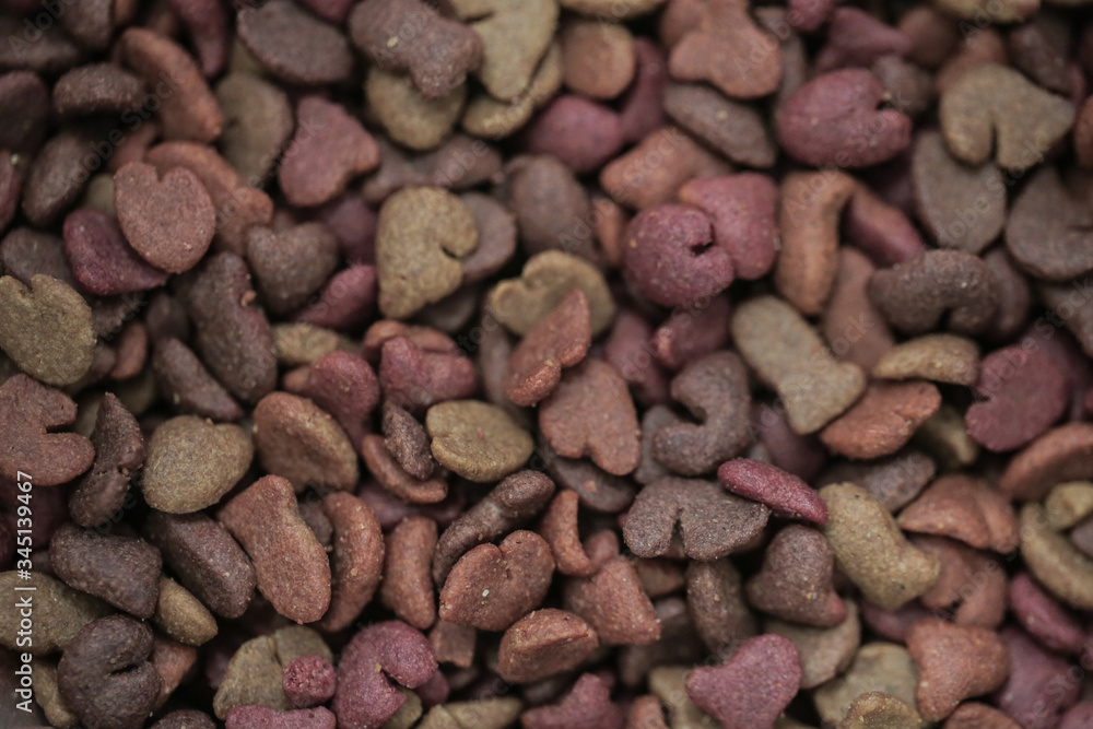 Cat Food Biscuit Hungry Kitten Cat Food Biscuit Hungry Kitten
