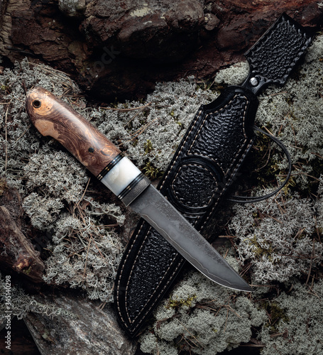 Hunter combat hand made knife with case on a moss in forest. photo