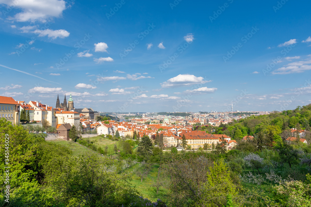 View to Prague castle on the spring from blooming park