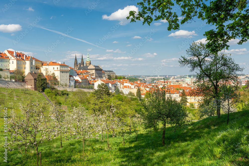 View to Prague castle on the spring from blooming park on Strahov hill