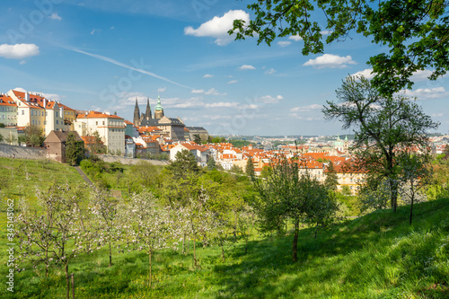 Wallpaper Mural View to Prague castle on the spring from blooming park on Strahov hill Torontodigital.ca