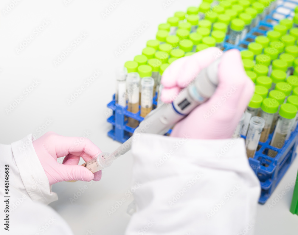 pipetting centrifuge tubes in a medical laboratory pipetting centrifuge tubes in a medical laboratory