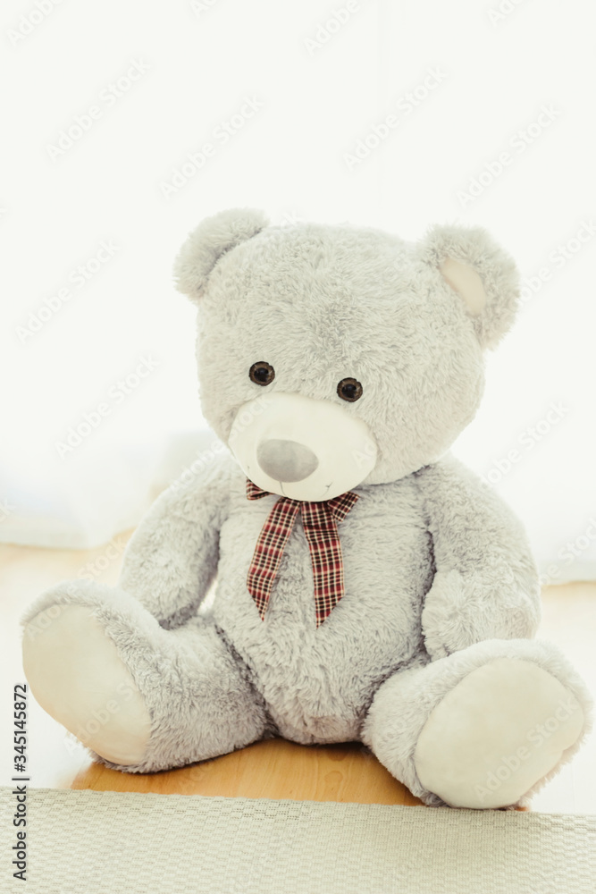 Large gray teddy bear sitting on the ground, lit by a large window behind him Large gray teddy bear sitting on the ground, lit by a large window behind him