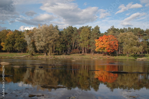 river on a sunny summer day