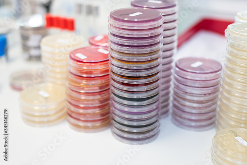 Foto samples plates agar in a microbiology laboratory