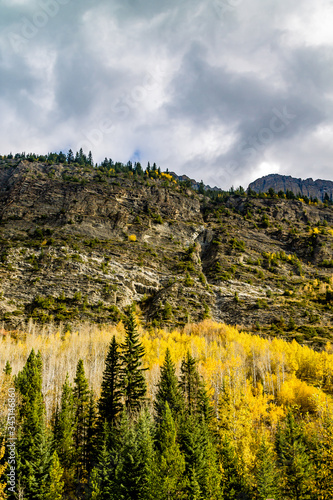 Canvas Print Fall colours abound along the Icefields Parkway