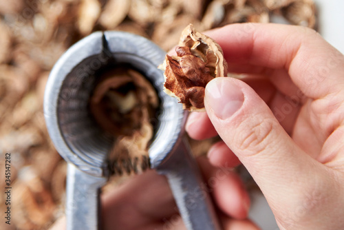 Nutshell with a walnut in the hands of a woman on a background of nuts.
