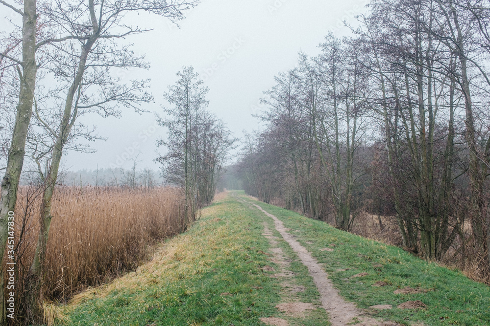 Obraz premium Pfad in Greifswald