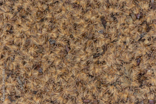 wool texture background