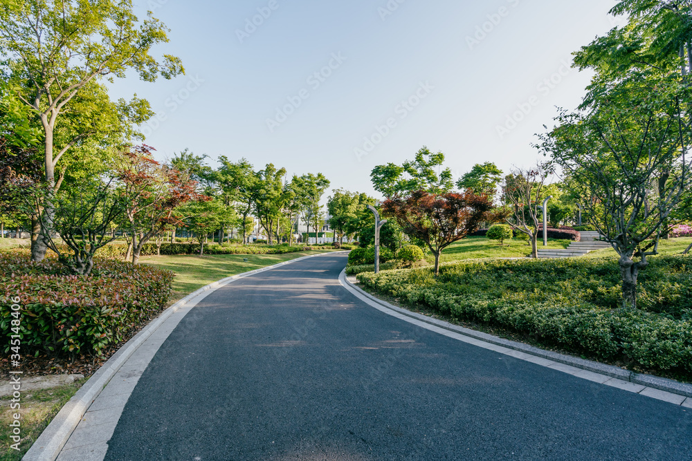 road in park road in park