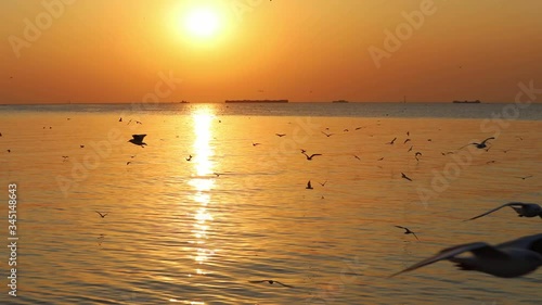 Landscape view of seagulls in sunset at Bang Pu Recreation Center is a seaside resort on the Bay