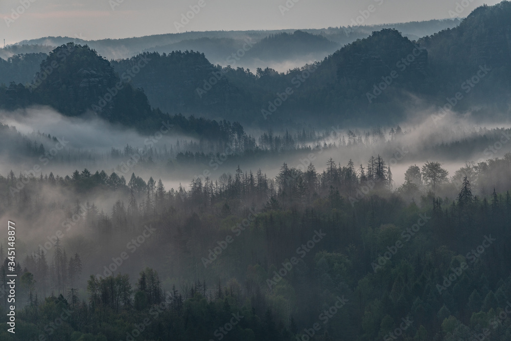morning vibes in Saxon switzerland, saxony, germany morning vibes in Saxon switzerland, saxony, germany